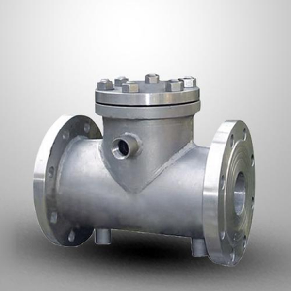 Jacketed Insulating Check Valve